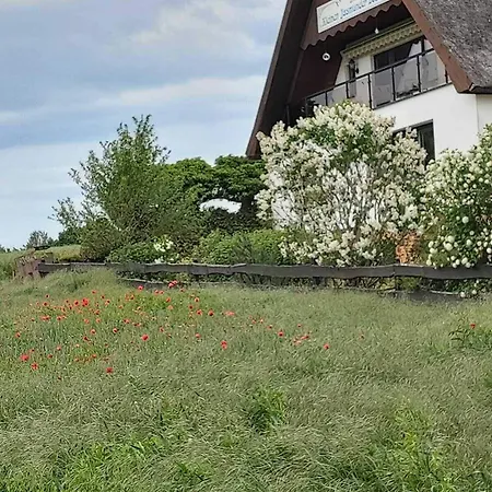 Vendégház Petersen 3*