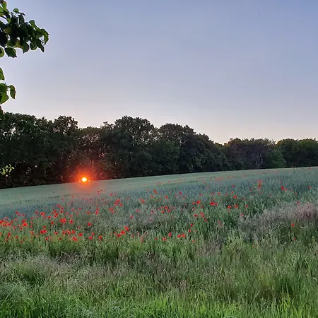 Petersen 3* Bergen Auf Rugen