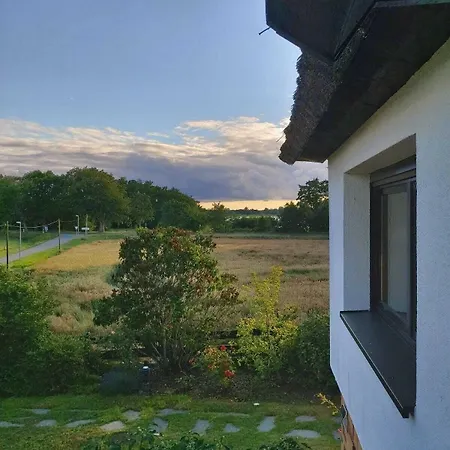 Petersen 3* 베르겐 아우프 뤼겐